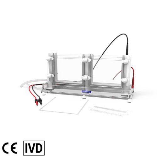 GEP-VH-SCZ03 Vertical Electrophoresis Cell