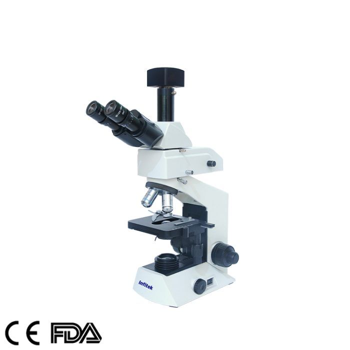 Microscope à fluorescence, MSC-F201T