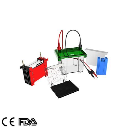 Mini-cuve d'électrophorèse par transfert, GEP-TH-ZY02