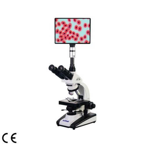 Microscope biologique MSC-B512W