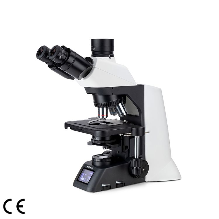 Biological Microscope, MSC-B31M
