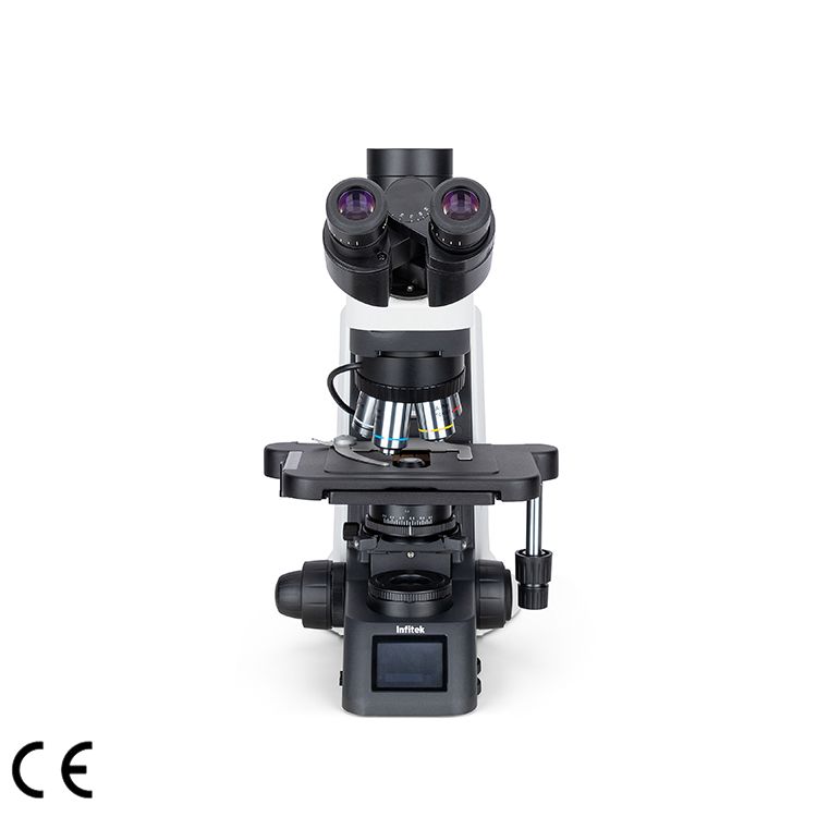 Biological Microscope, MSC-B31M