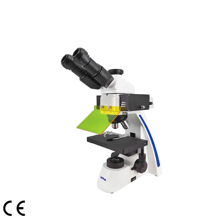 Fluorescence Microscope, MSC-F31